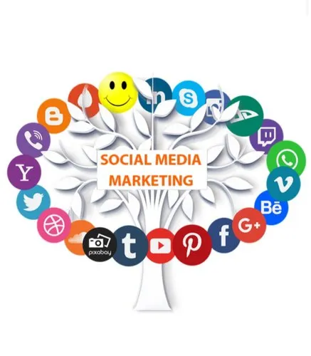 Digitip Solutions|Social Media Ads